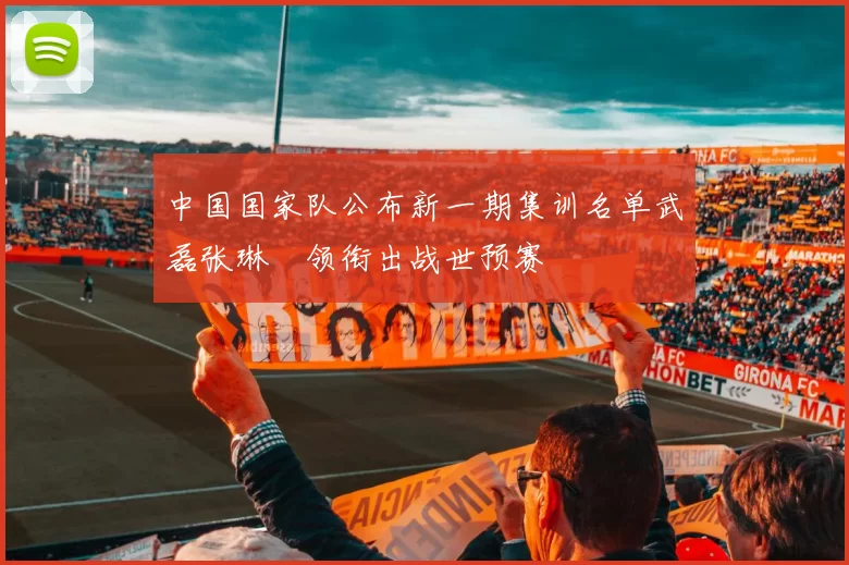中国国家队公布新一期集训名单武磊张琳芃领衔出战世预赛