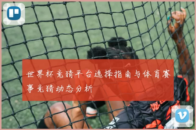 世界杯竞猜平台选择指南与体育赛事竞猜动态分析
