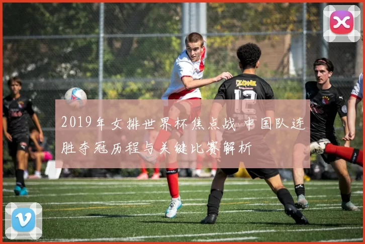 2019年女排世界杯焦点战 中国队连胜夺冠历程与关键比赛解析