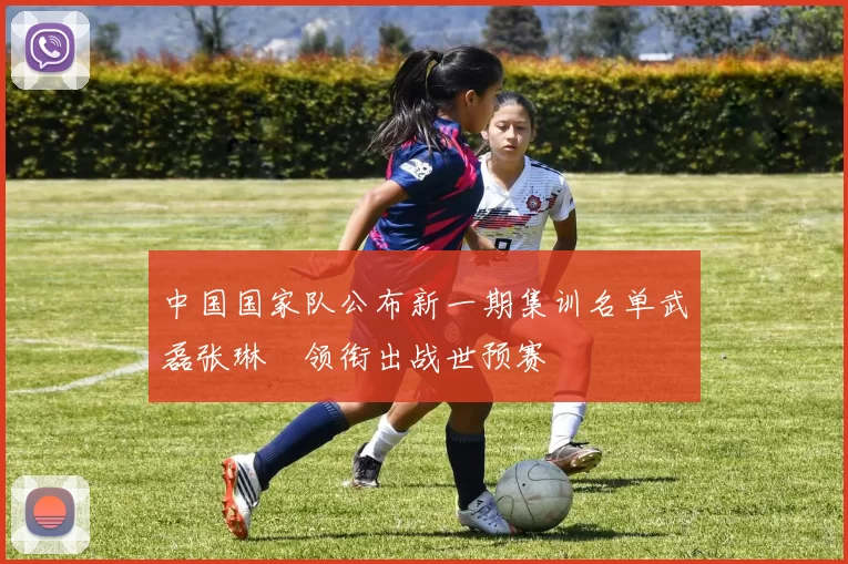 中国国家队公布新一期集训名单武磊张琳芃领衔出战世预赛